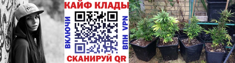 Виды наркотиков купить Кингисепп APVP  Меф мяу мяу  ГАШ 