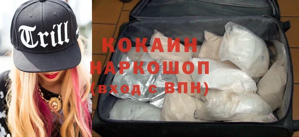 индика Касимов