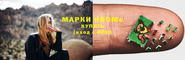 индика Касимов