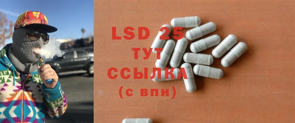 индика Касимов