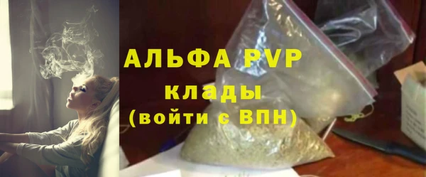 индика Касимов