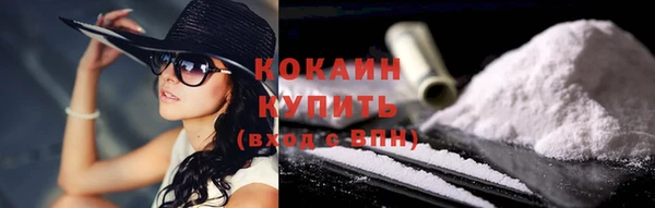 индика Касимов