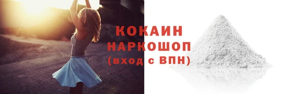 индика Касимов