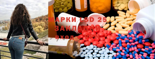 индика Касимов