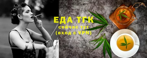 индика Касимов