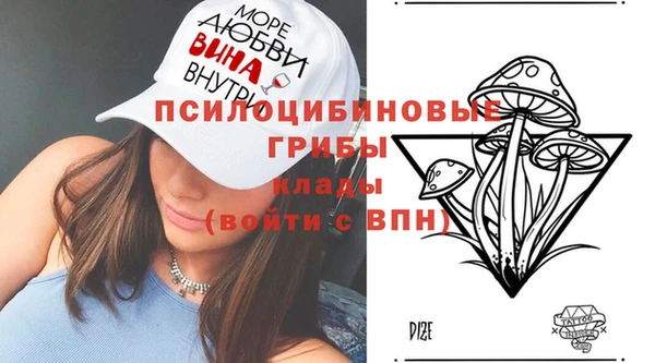 дмт Карталы