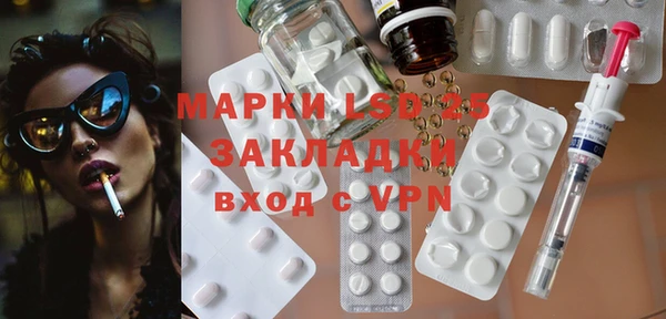 индика Касимов