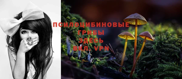 индика Касимов