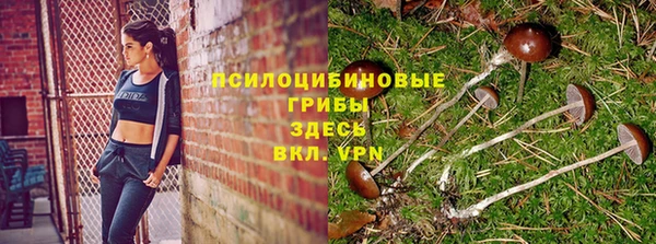дмт Карталы