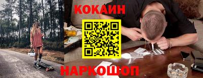 стаф Дубна