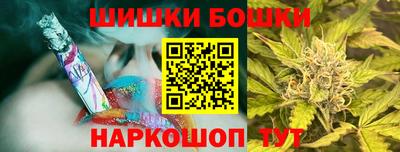 стаф Дубна