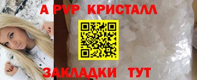 стаф Дубна