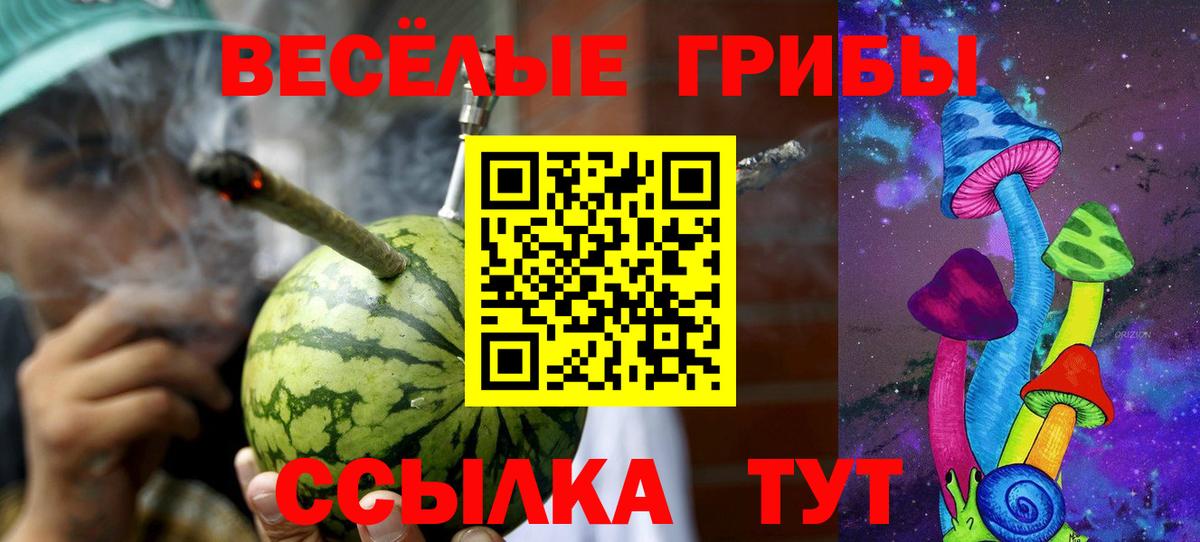 Псилоцибиновые грибы Psilocybe Кингисепп