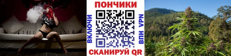 Марихуана планчик  где купить   Кингисепп 